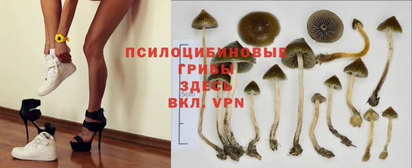 ECSTASY Балабаново